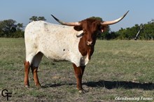 GF BERTHA DOBIE