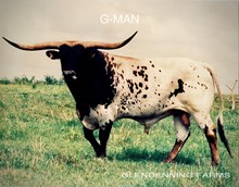 GF G-MAN