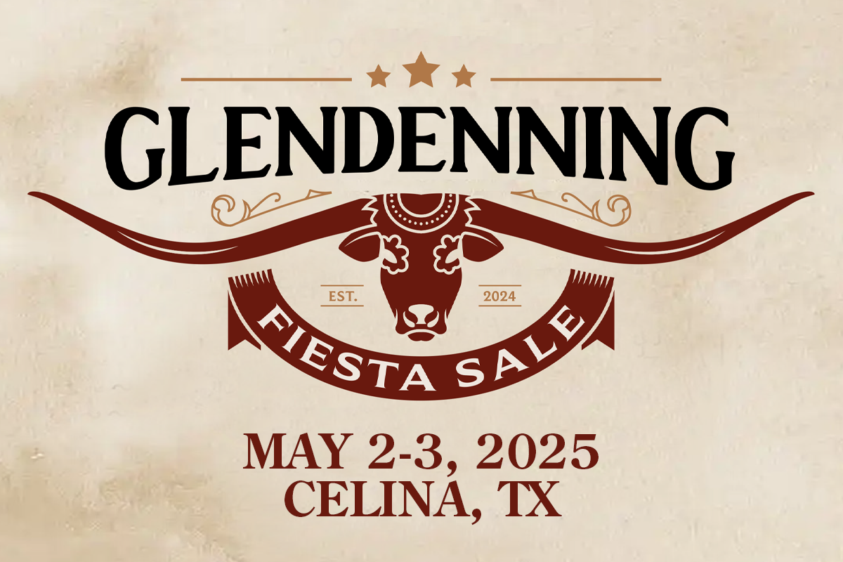 Fiesta Sale